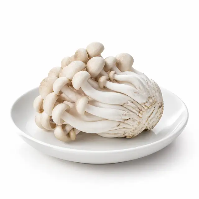 Beech Mushroom