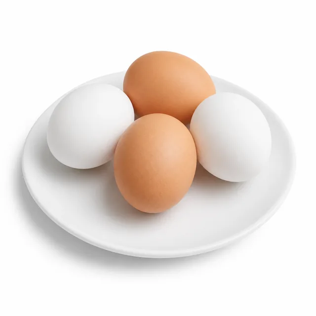 Egg