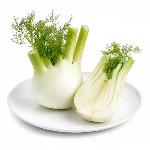 Fennel