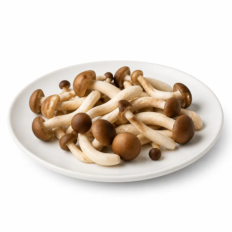 Pioppini Mushroom