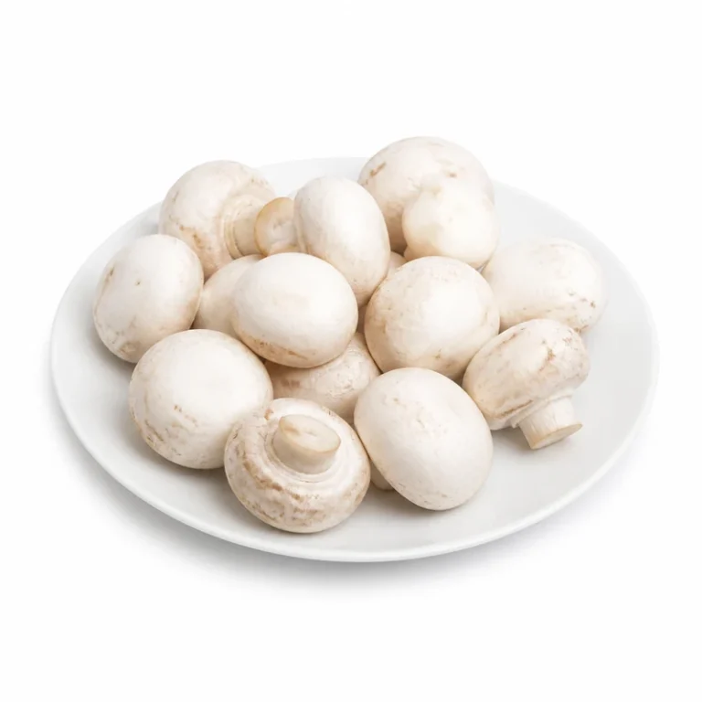 White Button Mushroom
