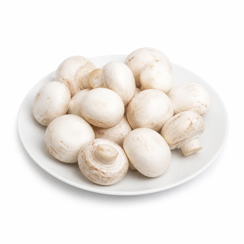 White Button Mushroom