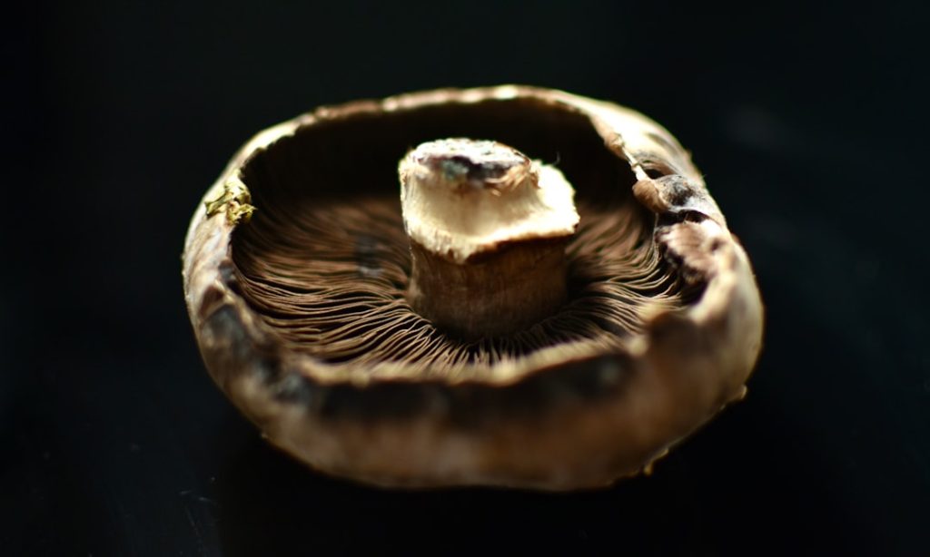 Fungi facts: Why mushrooms deserve a spot on your plate