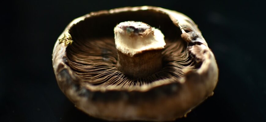 Photo Mushroom risotto