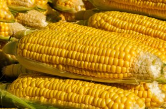 Photo vitamin D sources